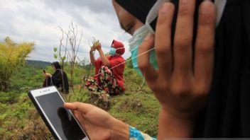 Tugas Perbaiki Perangkat Rusak di Pedalaman Aceh Barat yang Sebabkan Susah Sinyal Wewenang Telkomsel, Diskominsa Sebatas Koordinasi