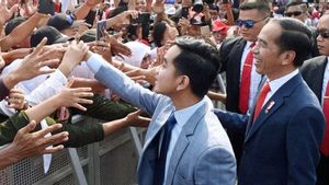 Meeting Jokowi, Gibran: The Directions For Volunteers In The Regional Head Elections Are Just Awaited