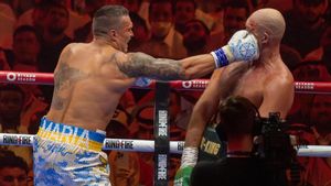 List 5 Undercard Parties In Fury's Rematch Against Usyk