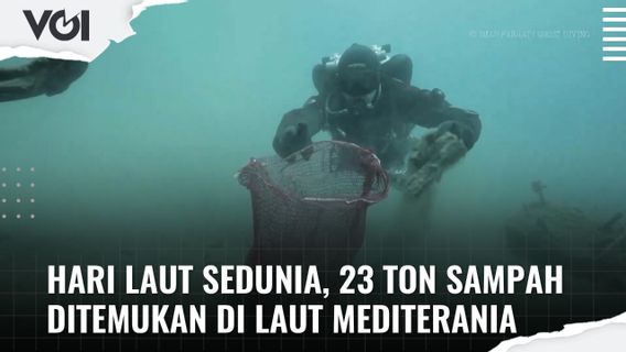 ビデオ:世界海洋デー、地中海で発見された23トンのゴミ