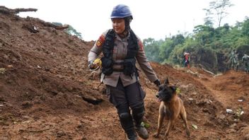 Polwan K9发射到Cianjur寻找被埋的地震受害者