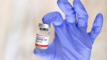 Siap Dijadikan Booster Vaksin Pfizer, Bos Bio Farma: Bukti IndoVac Sejajar dengan Produk Global