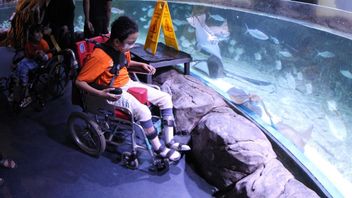 Oops Fugu rend Rhi Anak heureux en voyant et en jouant dans l’aquarium de Jakarta