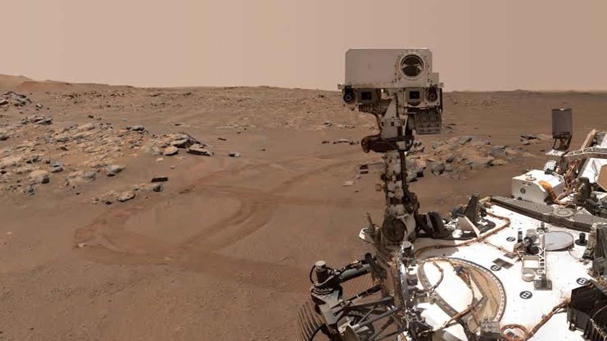 毅力机器人带着鹅卵石回来探索火星，为什么？