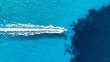 Kasus Penyelundupan WNA China ke Australia Lewat NTT, Pelaku Beli Speed Boat di Kupang