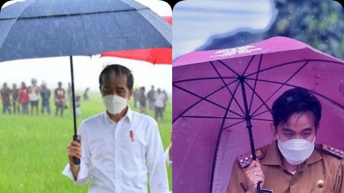 ماس جبران Blusukan الاسترخاء نمط استعراض Viaduk Gilingan، كسر المطر مع مظلة الأرجواني، لذلك تذكر Jokowi في سومبا NTT