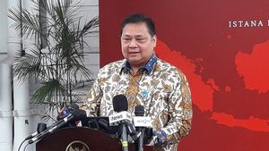 Fitch Singgung Danantara dalam Outlook Negatif, Airlangga: Lembaga Baru Perlu Waktu