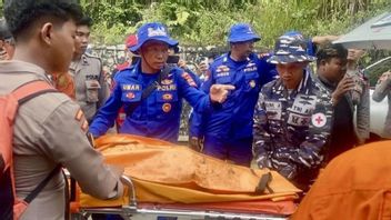 Kemenhub Dukung KNKT Investigasi Penyebab Helikopter Jatuh di Kalsel
