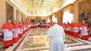 教皇和枢机主教同意公约,卡洛·阿库蒂斯将成为千禧一代的第一位圣人