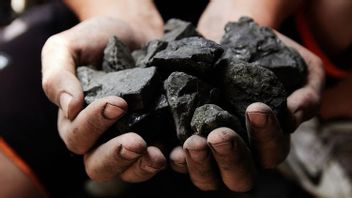 CPO والفحم Cs يبيعان بشكل جيد في الأسهم الأجنبية ، ويستمر الحفاظ على أداء إندونيسيا في التصدير