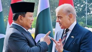 RI-Pakistan Bergerak, Prabowo Siap Kunjungi Iran untuk Redam Eskalasi