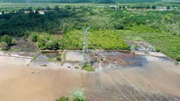 PLN Sukses Operasikan SUTET 275 kV PLTU Sumsel 1 – Betung