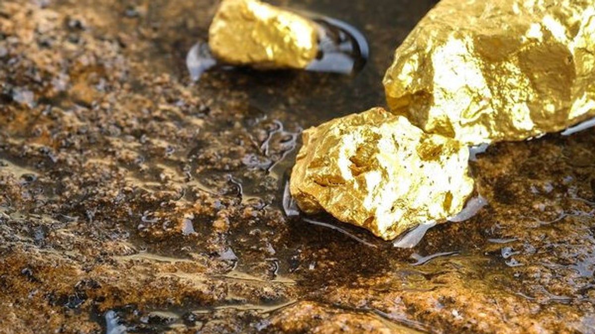 Jokowi Plans To Ban The Export Of Gold, The Minister Of Energy And Mineral Resources Said That It Would Be Carried Out Step By Step