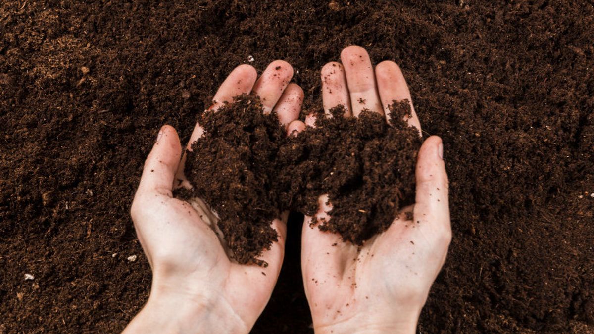 Land Forming Factors: Here's An Explanation And The Processes