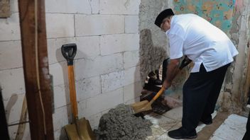 Satpol PP Patungan Rp70 مليون جراحة منزل 3 KK في Kapuk ، Rano Karno: ليس مجرد مبنى مادي 