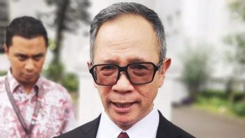 Economic Growth Drops Slightly, OJK Boss: Financial Services Sector Grows Strongly