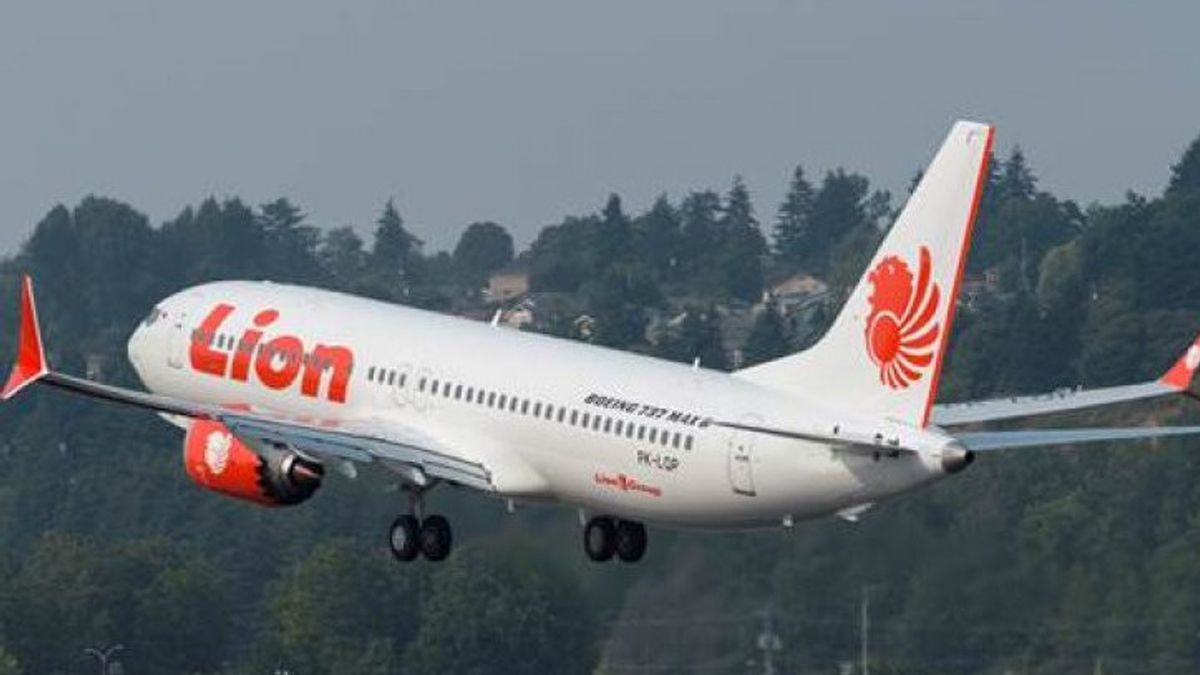 <i>Bird Strike</i>, Pesawat Lion Air Surabaya Tujuan Makassar Kembali ke Bandara Juanda