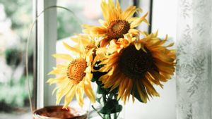 11 Cara Mudah Membuat Bunga Matahari Lebih Tahan Lama di Dalam Vas
