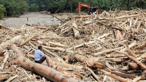 Kasus Illegal Logging, Polri Tetapkan Satu Korporasi sebagai Tersangka