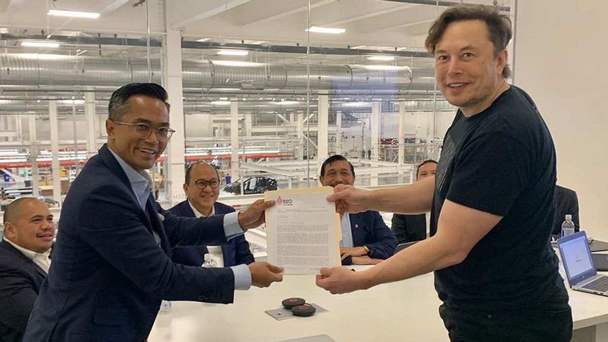 dr Tifa Sebut Rambut Awut-awutan Elon Musk Saat Bertemu Luhut Menandakan Tamunya Bukanlah Orang Penting