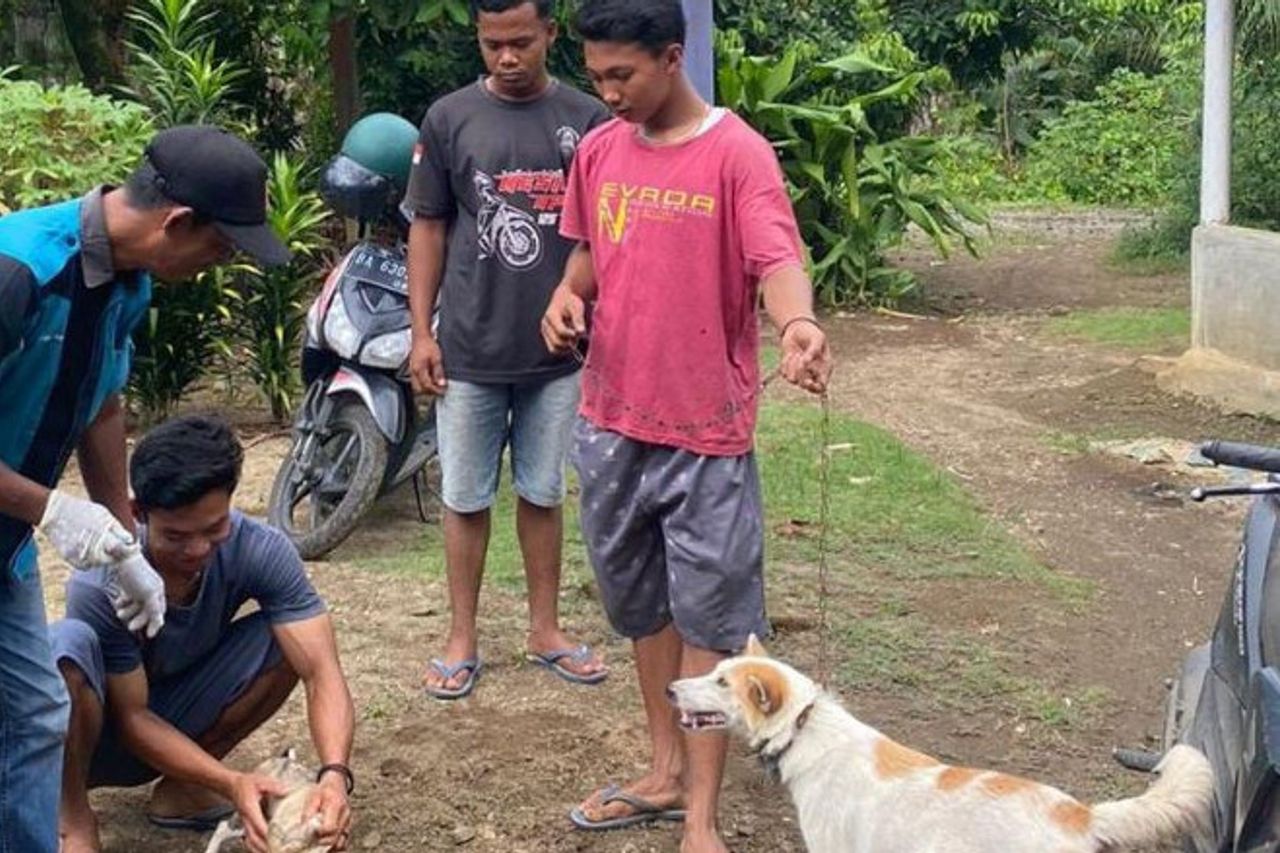 パサマンの幼児が狂犬病の疑いのある犬に噛まれて死んだ