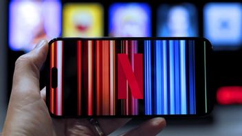 Teken Kesepakatan dengan AS, Google Hingga Netflix Bakal Bebas Pajak di Indonesia 