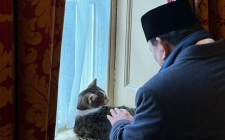 Gemesnya...Momen Prabowo Subianto Elus-elus 'Larry the Cat' Bos Pengendali Tikus di Downing Street 10