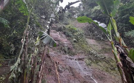 Rombongan Wisatawan Rafting Tertimbun Longsor di Sungai Ayung Gianyar, 2 Orang Tewas