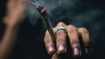 Arrêté Pour Marijuana, J-Rocks Batteur Et L’équipage En Cours D’examen Intensif