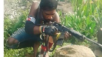 Satgas Damai Cartenz Tangkap DPO KKB di Puncak Papua Tengah