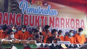 Bareskrim Musnahkan Ratusan Kilogram Sabu dan Ganja termasuk dari Jaringan Malaysia