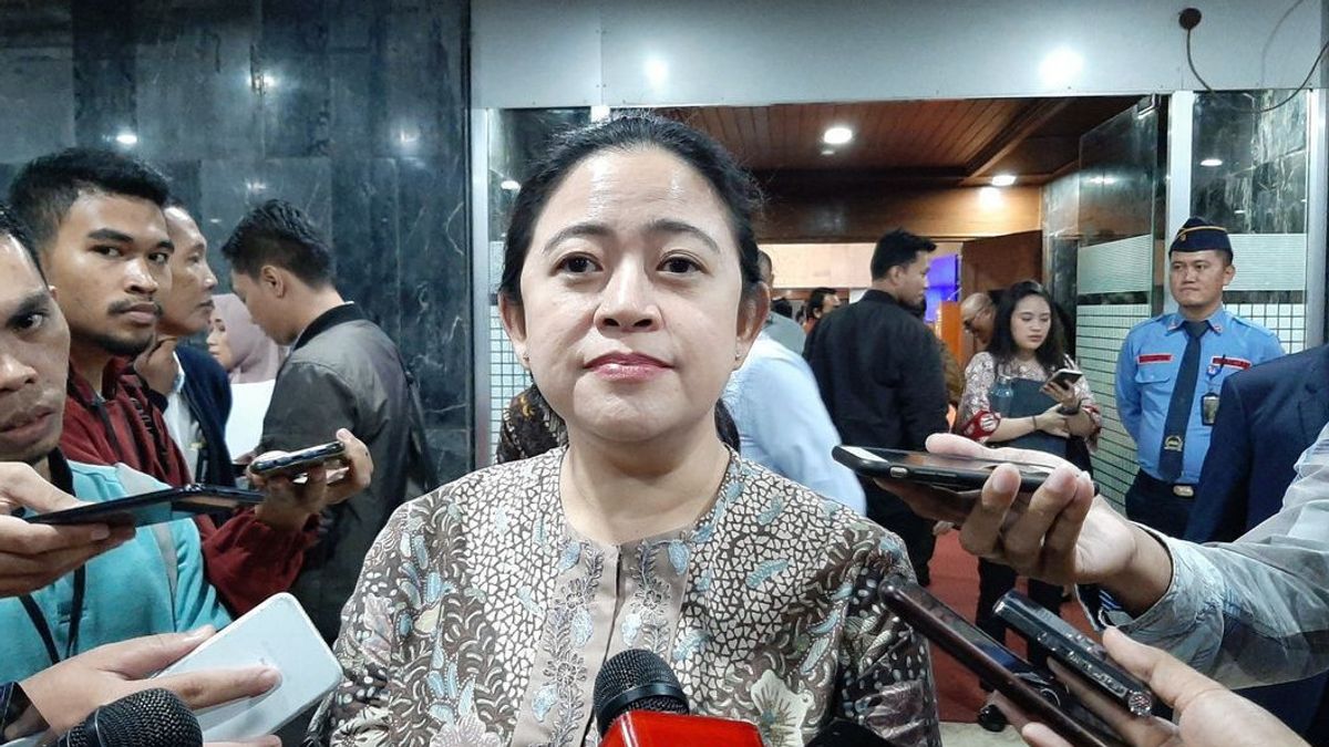 Diduga Diretas, Jabatan Puan Maharani Berubah Jadi Ketua Dewan Pencitraan Rakyat di Wikipedia