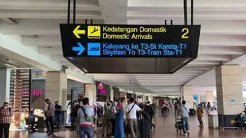 Pihak Bandara Soekarno-Hatta Siapkan Ambulans di Lokasi Kargo Saat Jenazah Eril Tiba di Indonesia