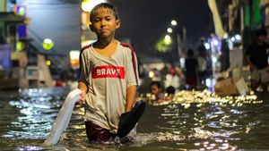 Banjir Rob dan Gelombang Tinggi Terjang Tanggamus, 115 Rumah Rusak