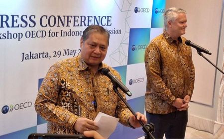 Ekonom Nilai Keanggotaan OECD Kurangi Ketergantungan RI ke China