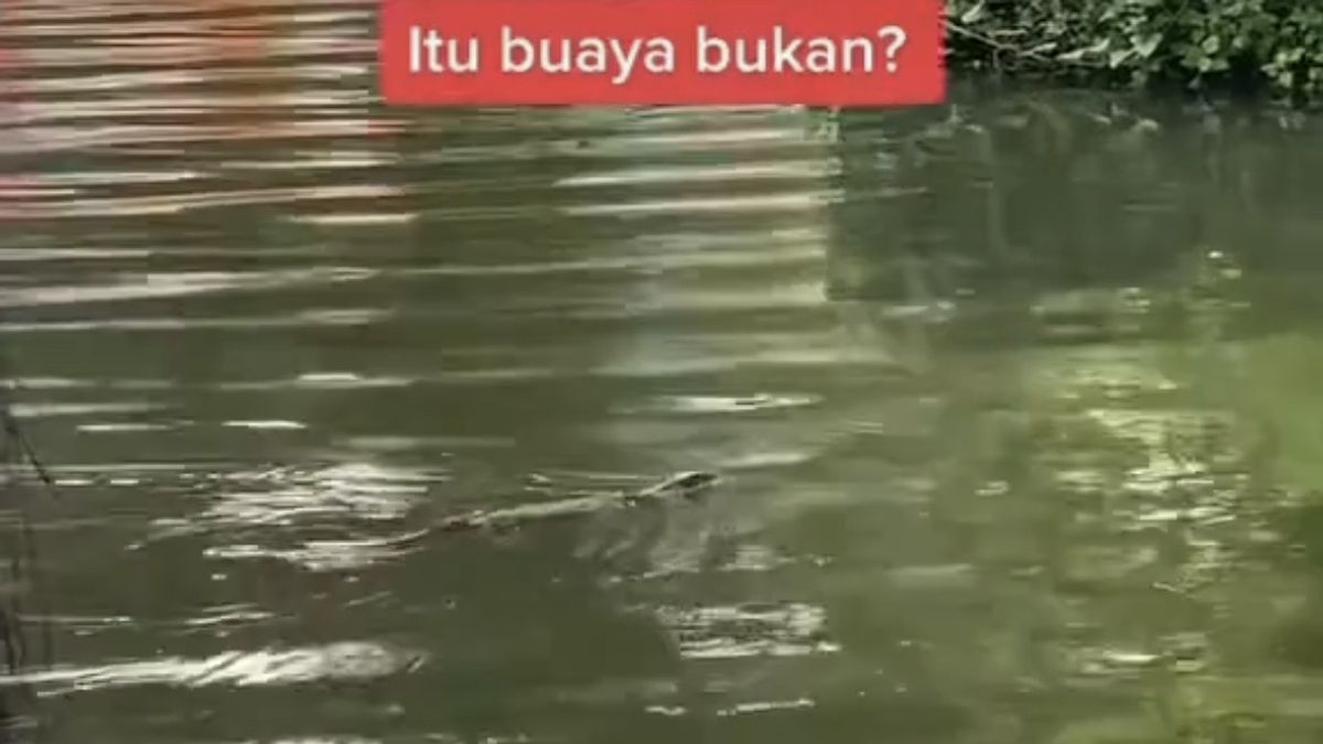 Viral Biawak atau Buaya di Danau Dufan, Pihak Ancol: Tidak Berbahaya