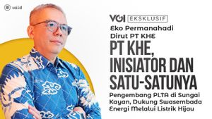 Video Eksklusif, Direktur KHE Eko Permanahadi: Listrik Hijau PLTA Kayan Cascade Dukung Swasembada Energi