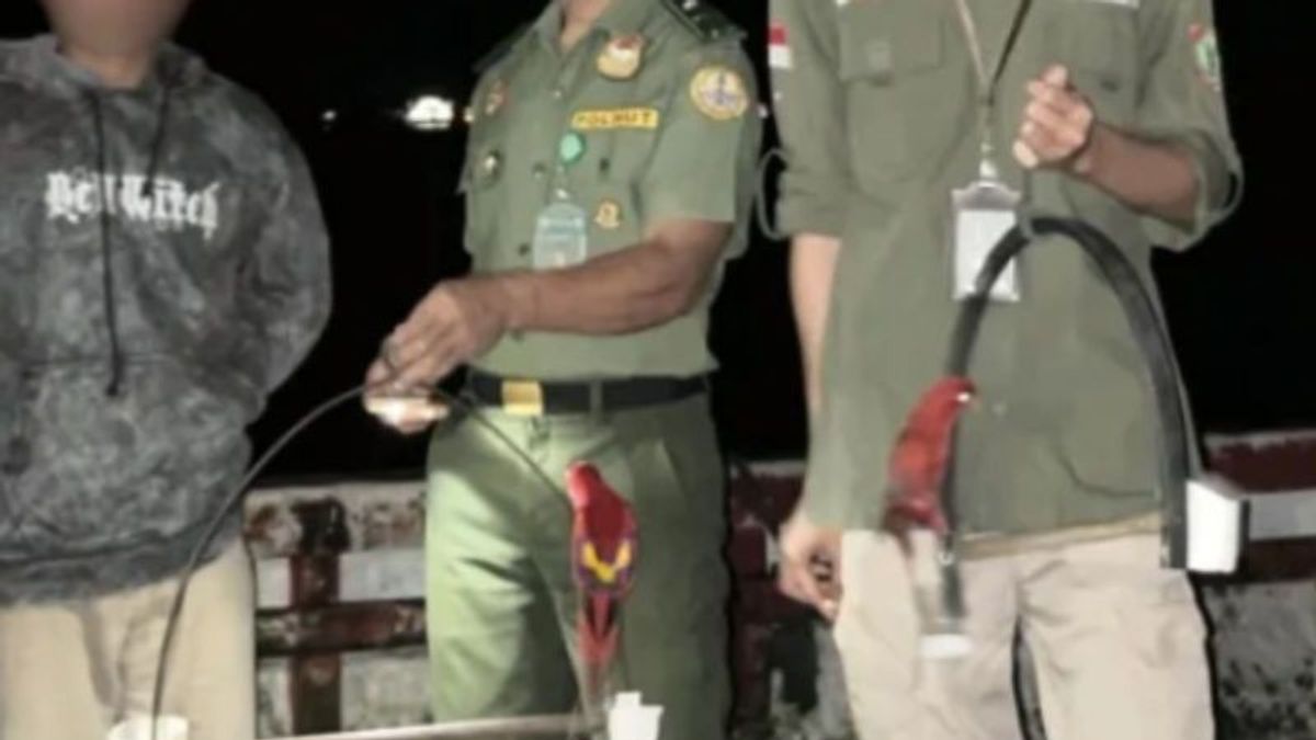 BKSDA Maluku assure la sécurité des oiseaux de mer de Maluku à partir d'un bateau à Banda