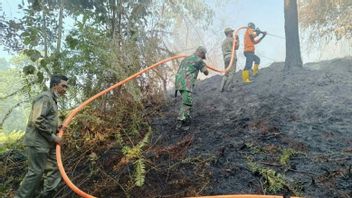 BMKG: Hotspots In East Kalimantan Drop From 20 To 16