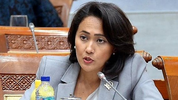 Anggota DPR: Indonesia Butuh UU Primer Terkait Perlindungan Data