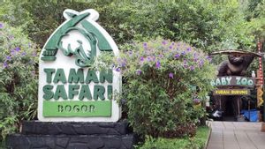 Taman Safari Indonesia Geram Namanya Diseret Kasus Bandung Zoo