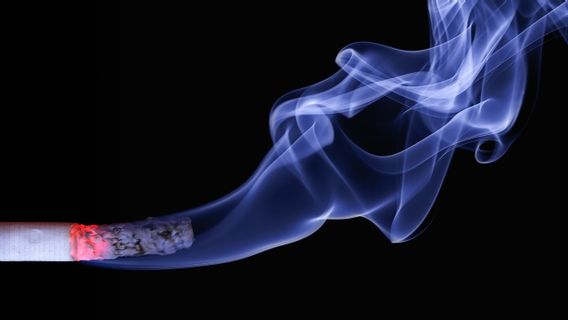 5 香烟烟雾和蒸汽烟雾的区别,哪一个更危险?