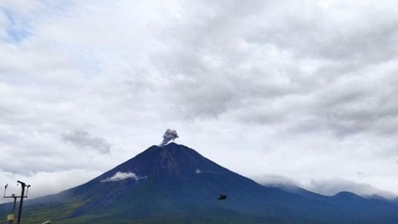 Pagi Ini, Semeru Kembali Erupsi dengan Letusan Setinggi 600 Meter