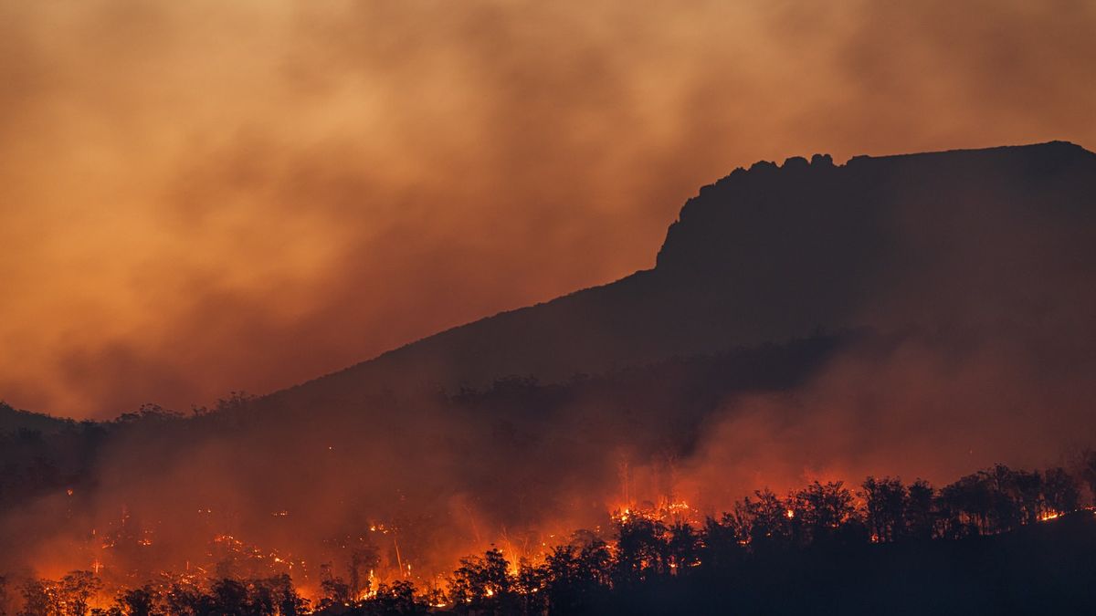 Daftar Daerah yang Bakal Dapat Perhatian Lebih dari KLHK Soal Pengendalian Kebakaran Hutan