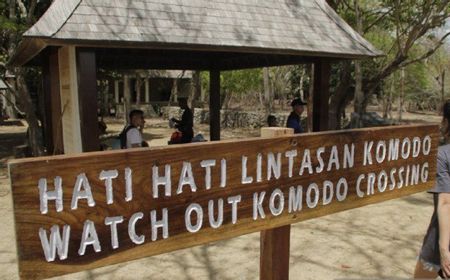 Flobamor Bantah Tuduhan Monopoli Jasa Wisata Taman Nasional Komodo