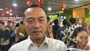 Pemerintah Buka Opsi 8.000 Pasukan Perdamaian ke Gaza Lewat Board of Peace