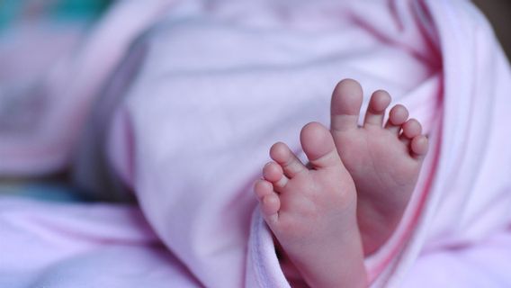 Police Search For The Body Of A Baby Who Was Dumped At The Jembtan Aurduri Jambi Waste Disposal Site