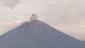 Since Saturday Morning, Semeru Erupted Several Times With An Eruption Height Of Up To 700 Meters