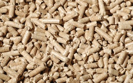 Wood Pellet: 'Butiran Kayu Ajaib' untuk Sumber Energi, Kucing, dan Dapur Anda!