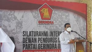 Wagub DKI Riza Patria Pimpin DPD Gerindra